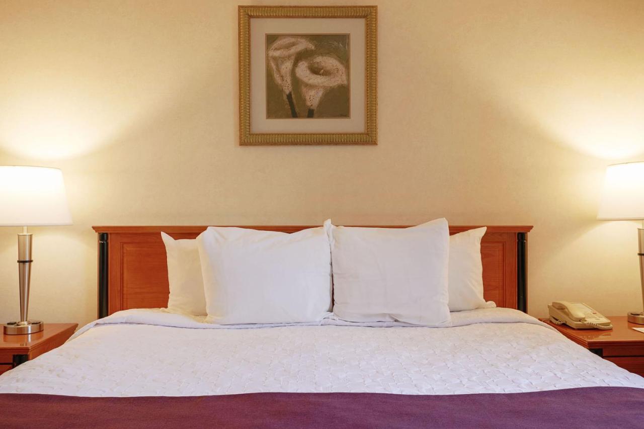Hotel St-Denis Montréal Extérieur photo